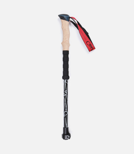 Spare parts Carbon 100 sticks