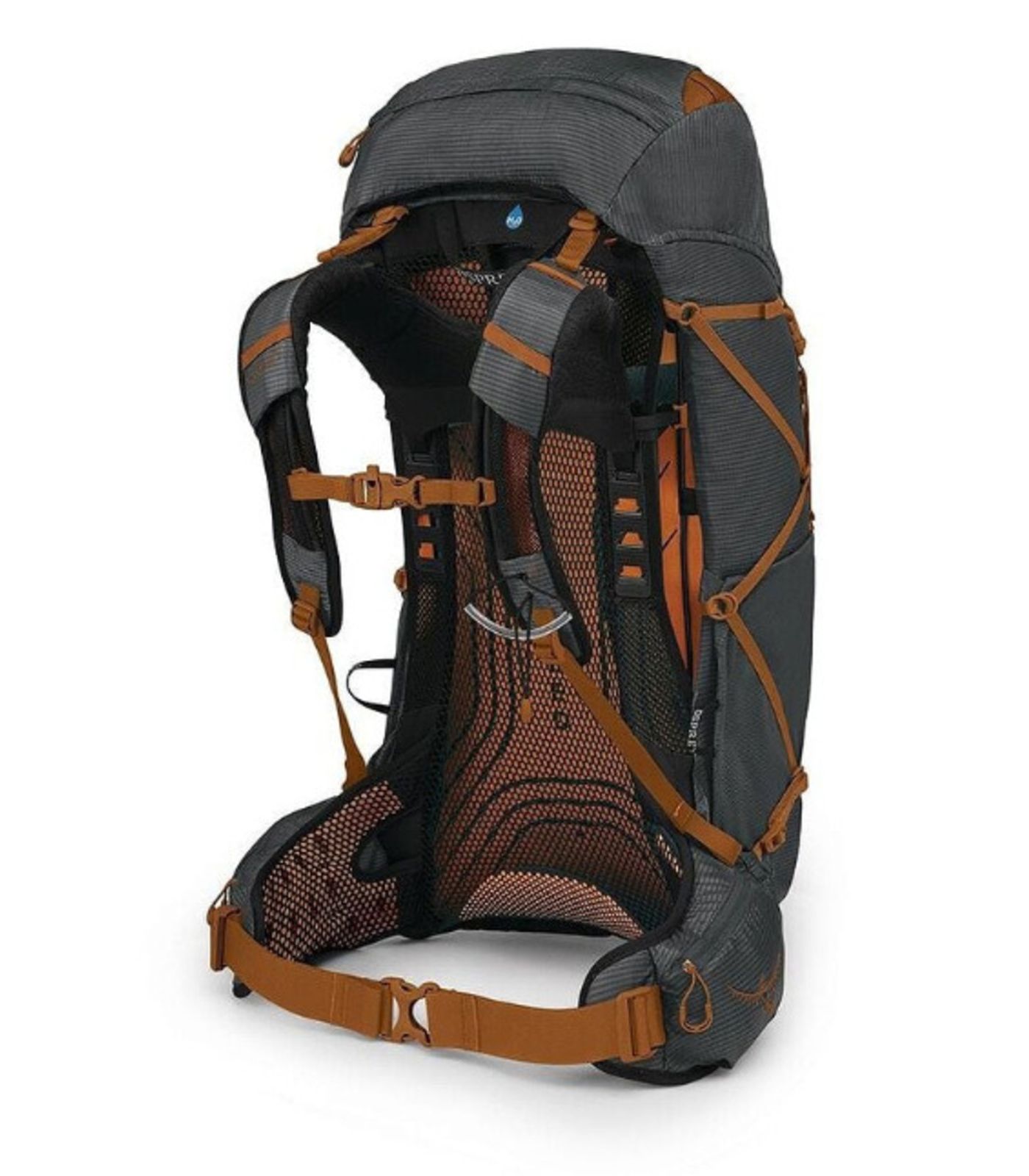 OSPREY hiking/trekking backpack