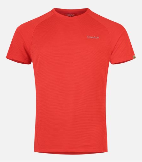 Merino Wool, short sleeved t-shirt